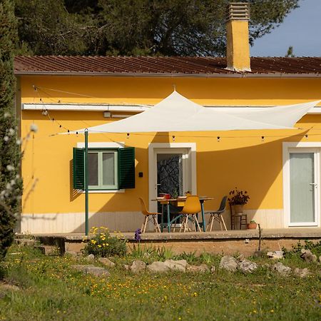 קסטל דל מונטה Casina Al Castello - Natura E Relax מראה חיצוני תמונה